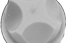 Van trái khế Silicon